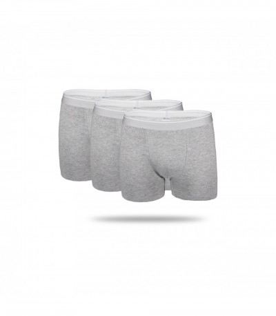 SILVERION GÜMÜŞLÜ BOXER PARAGON -GRİ SET