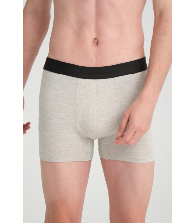 SILVERION GÜMÜŞ+UMORFİL KAR. ERKEK BOXER